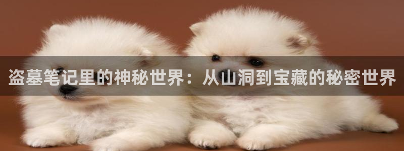 免费无遮挡歪歪漫画：盗墓笔记里的神秘世界：从山洞到宝藏的秘密世界