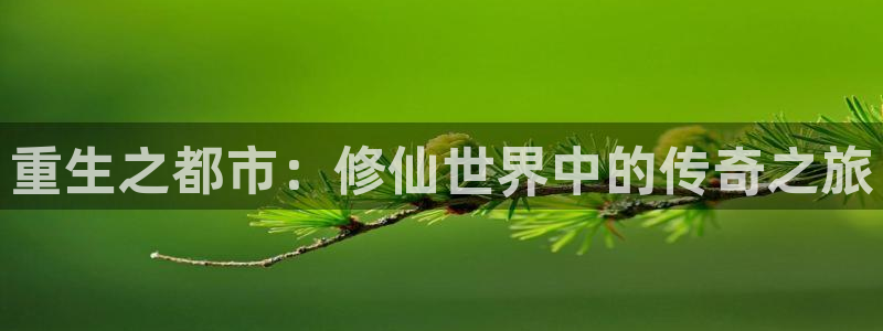 歪歪漫画 入口：重生之都市：修仙世界中的传奇之旅